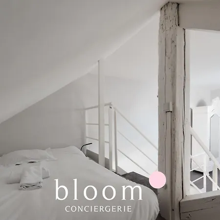 Loft Independant Avec Parking Prive Apartment *