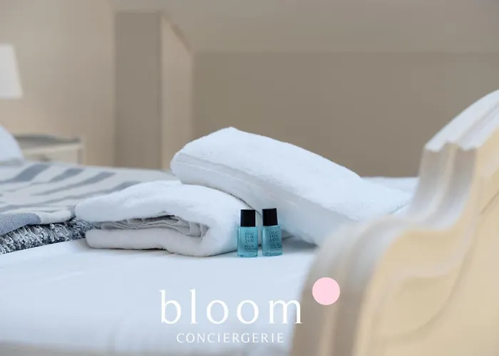 Loft Independant Avec Parking Prive Nancy